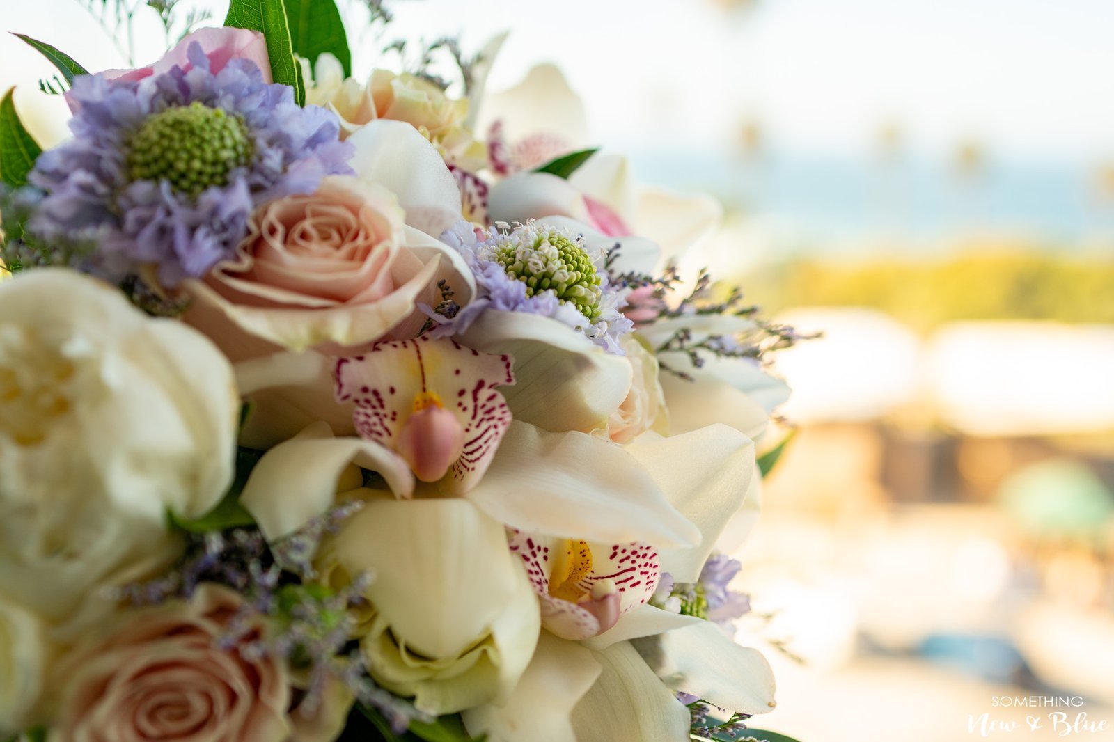 Adrienne + Scott at Wedgewood La Jolla Cove Rooftop