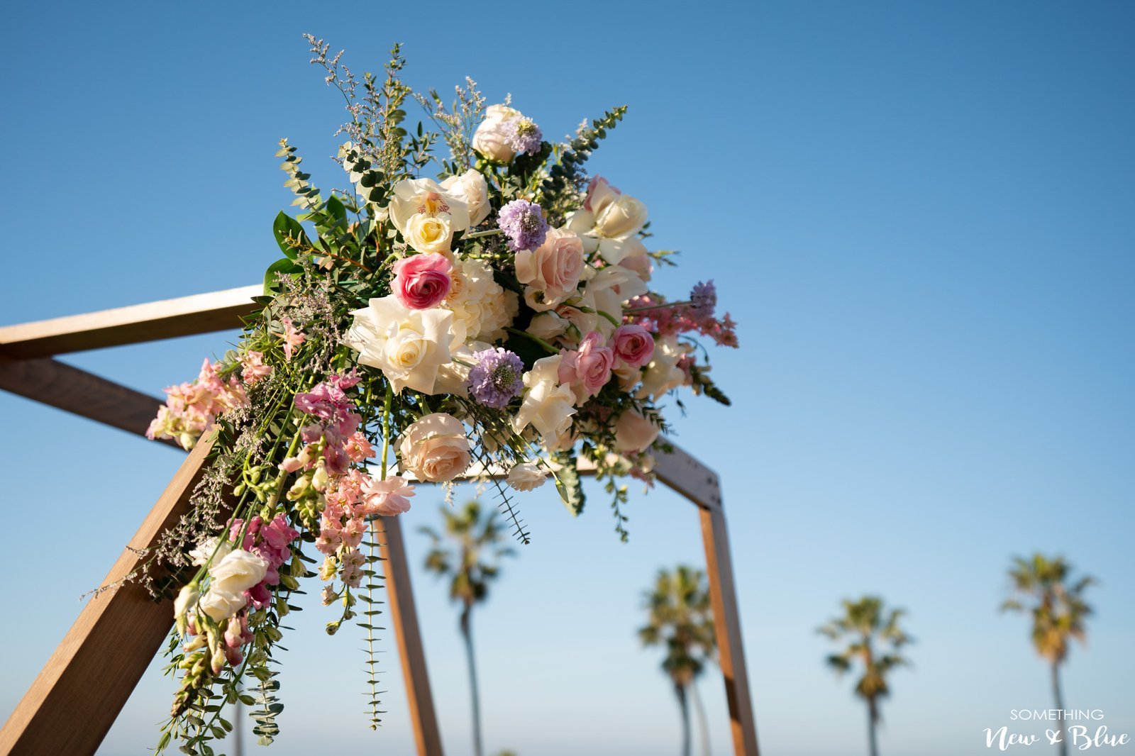 Adrienne + Scott at Wedgewood La Jolla Cove Rooftop