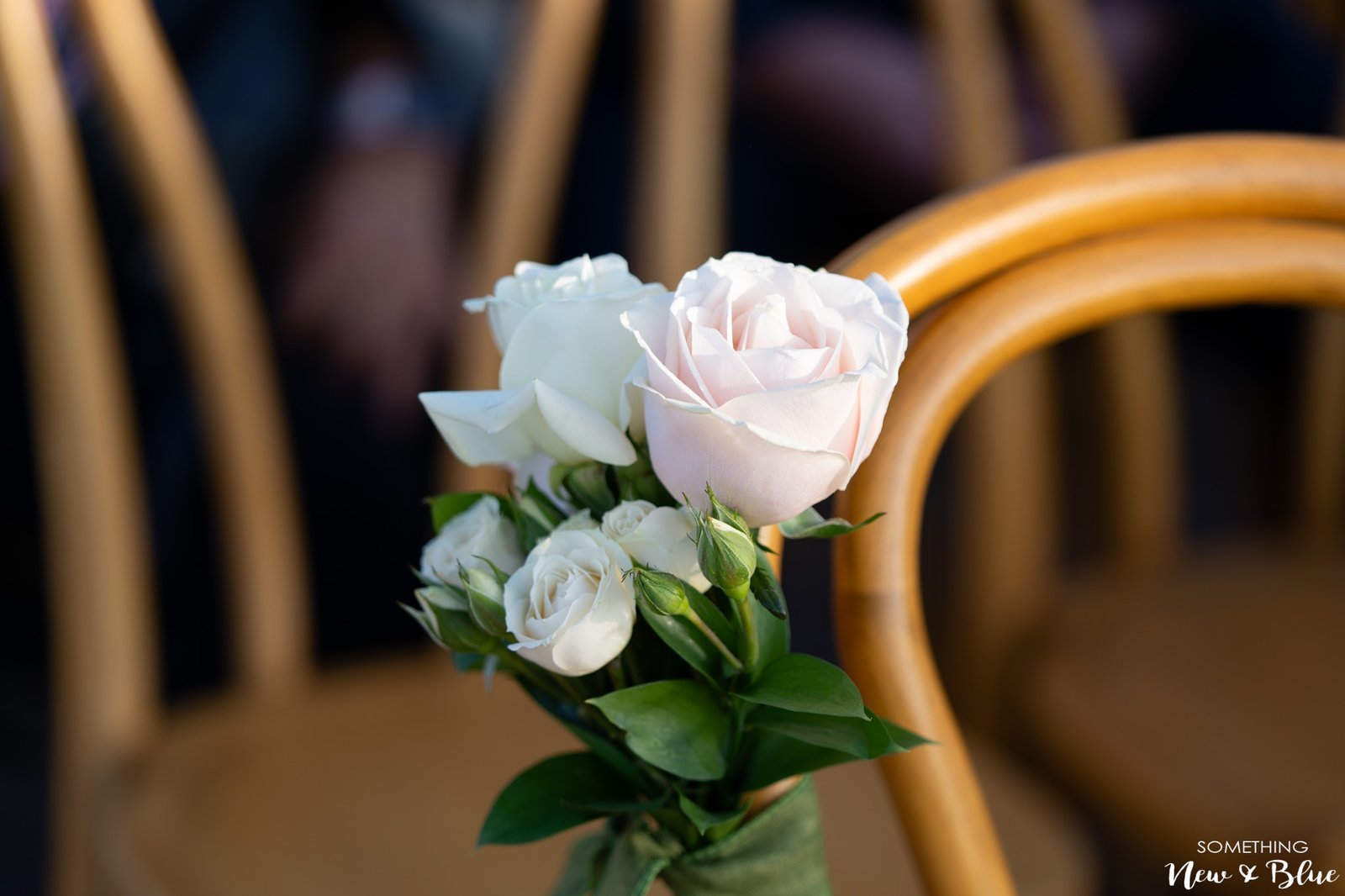 Adrienne + Scott at Wedgewood La Jolla Cove Rooftop