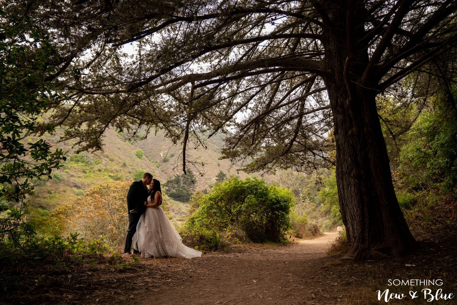 Big Sur at The California Coast