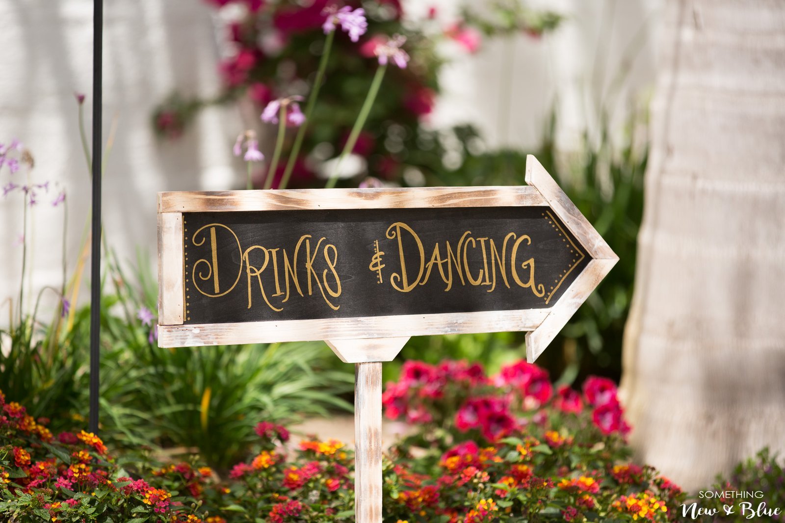 Carmen + Mark at St Regis Monarch Beach Resort San Clemente