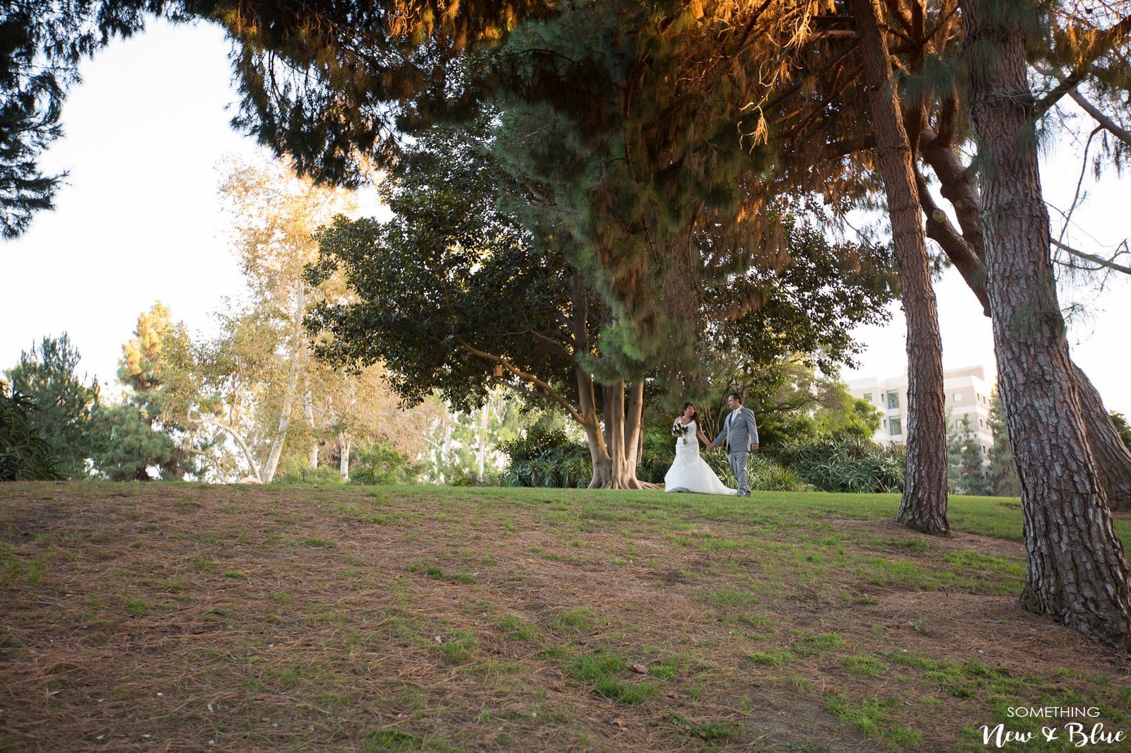 Elaine + Alex at UCI University Club Irvine