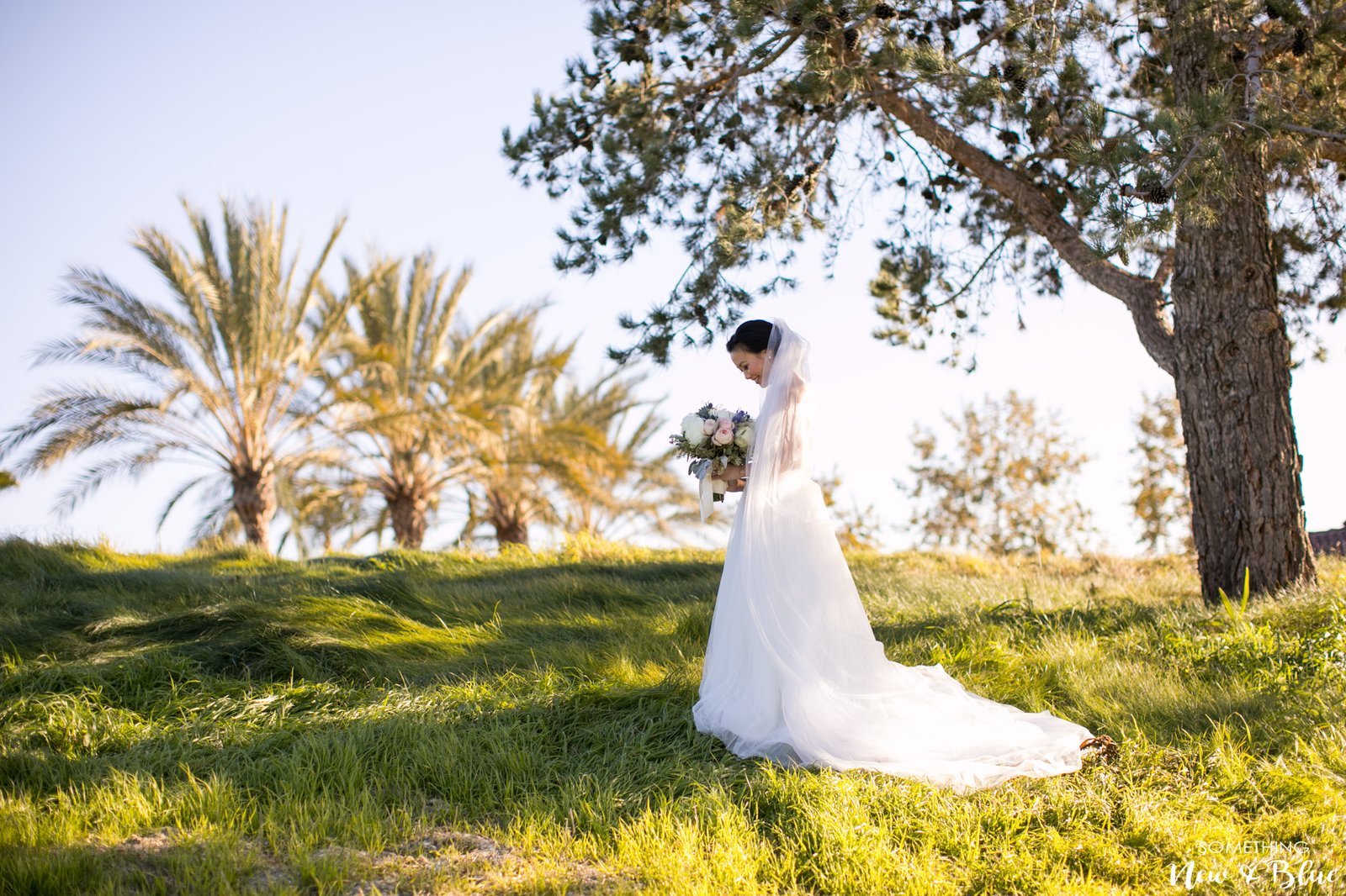 Jodi + Daniel at Hills Hotel Wedgewood Aliso Viejo