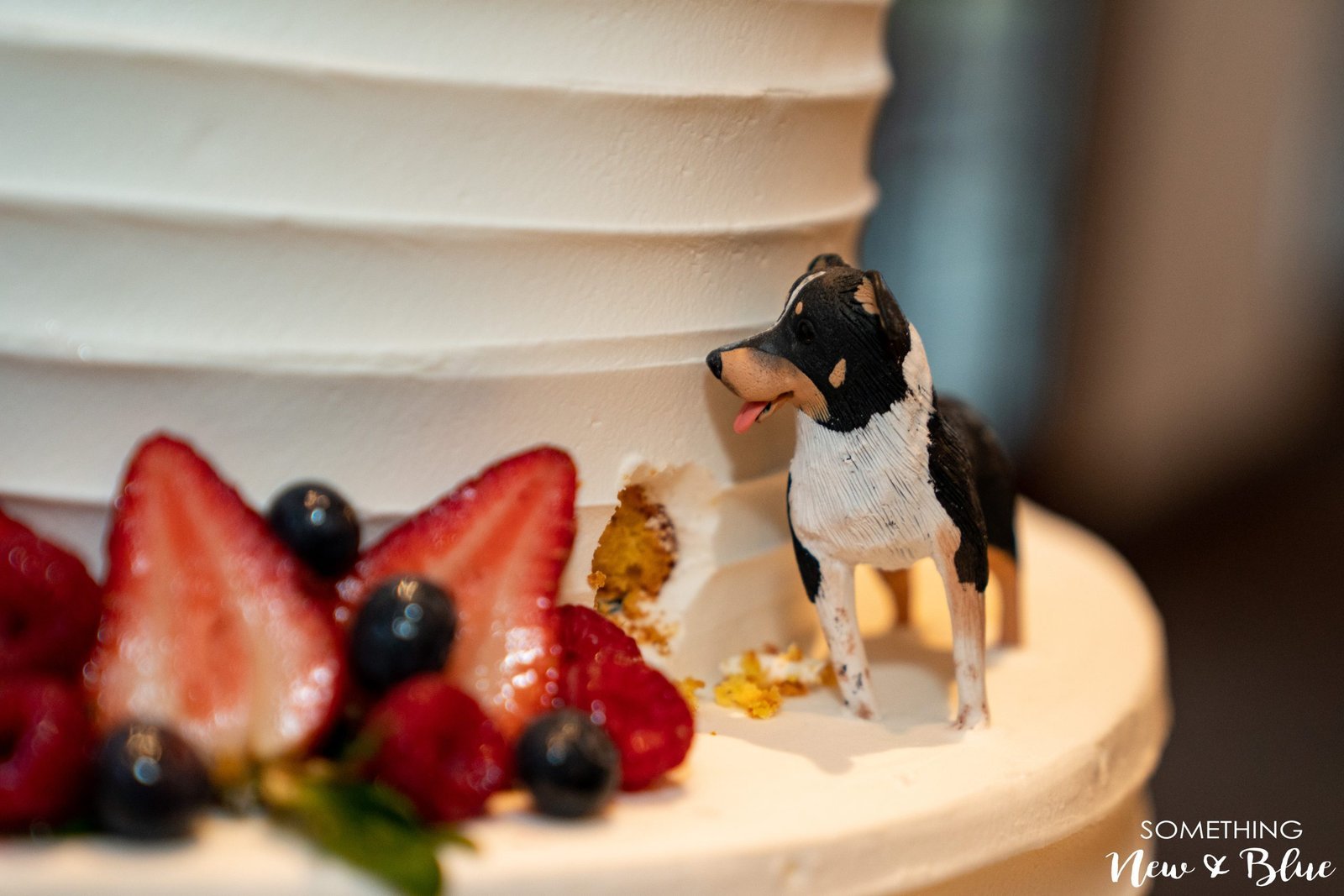 Julie + Ryan at Wedgewood Aliso Viejo