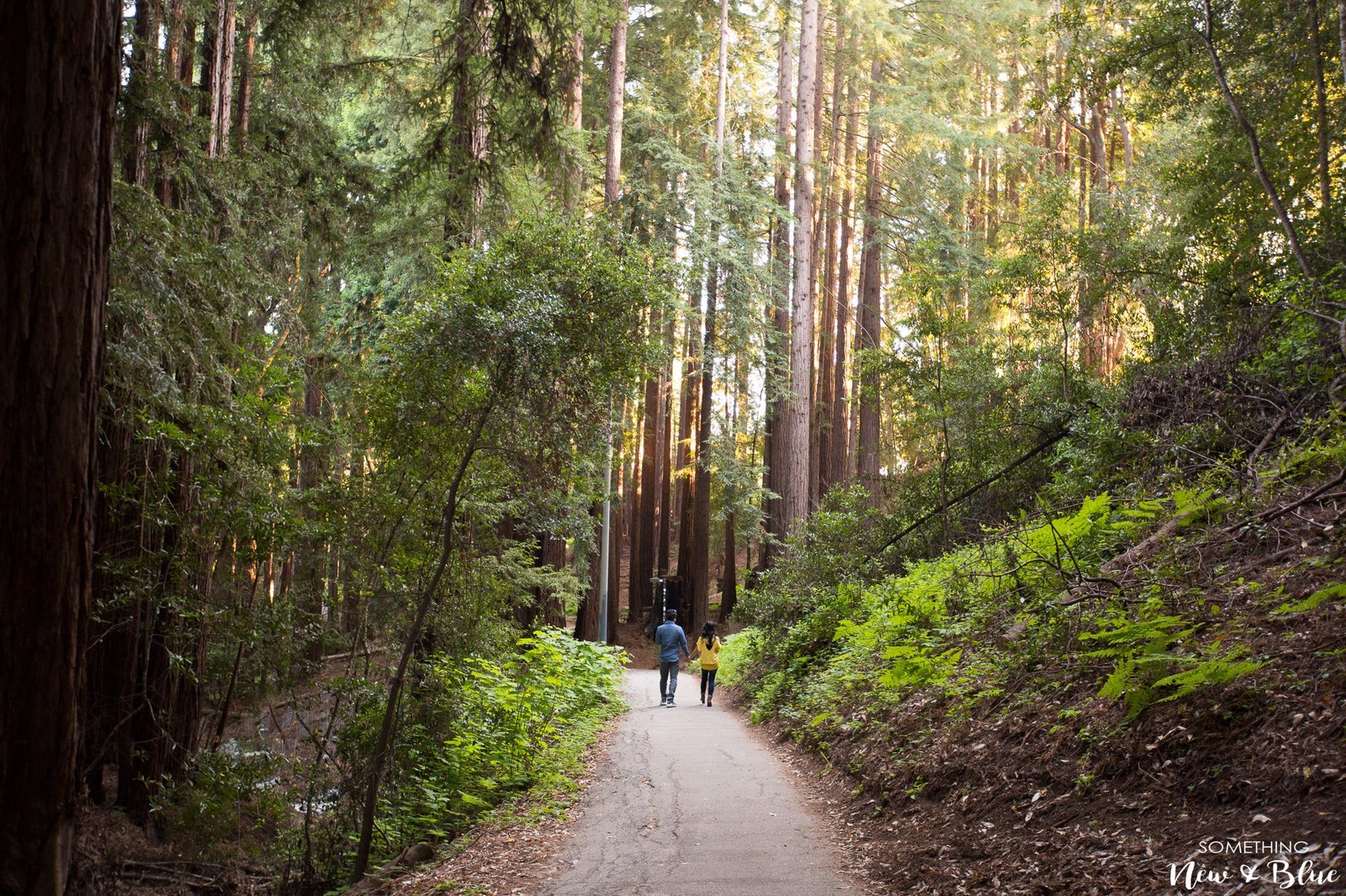 Kim + Thaison at UC Santa Cruz Engagement San Francisco