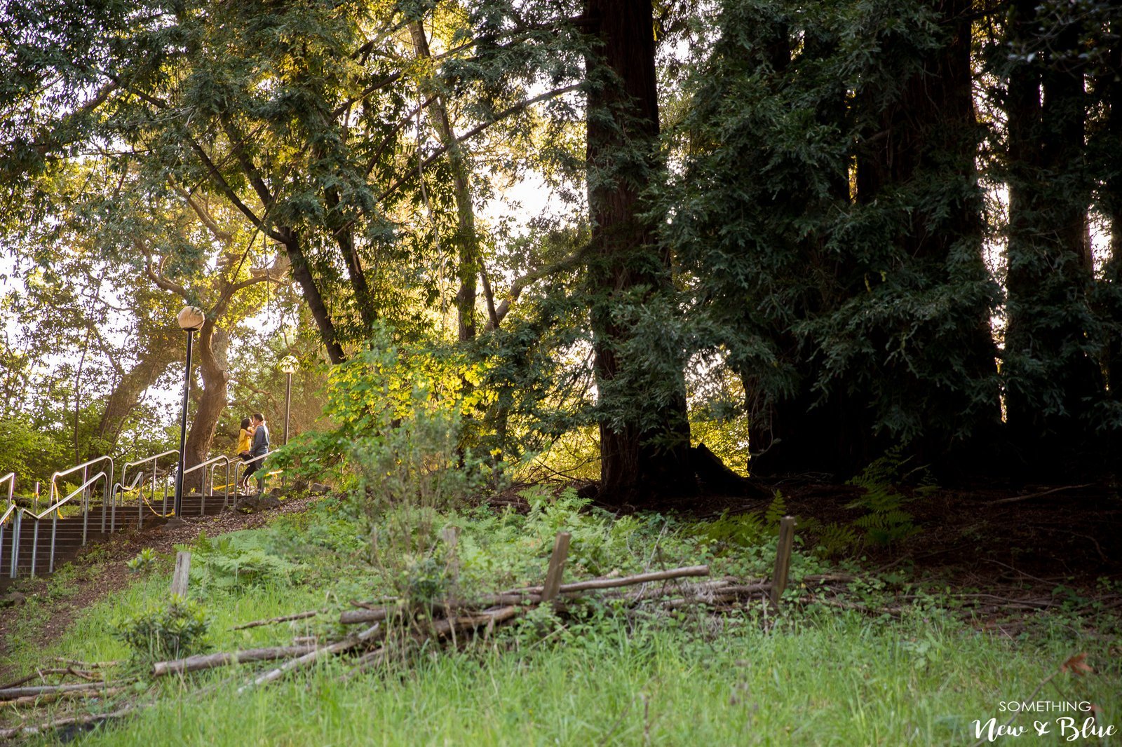 Kim + Thaison at UC Santa Cruz Engagement San Francisco