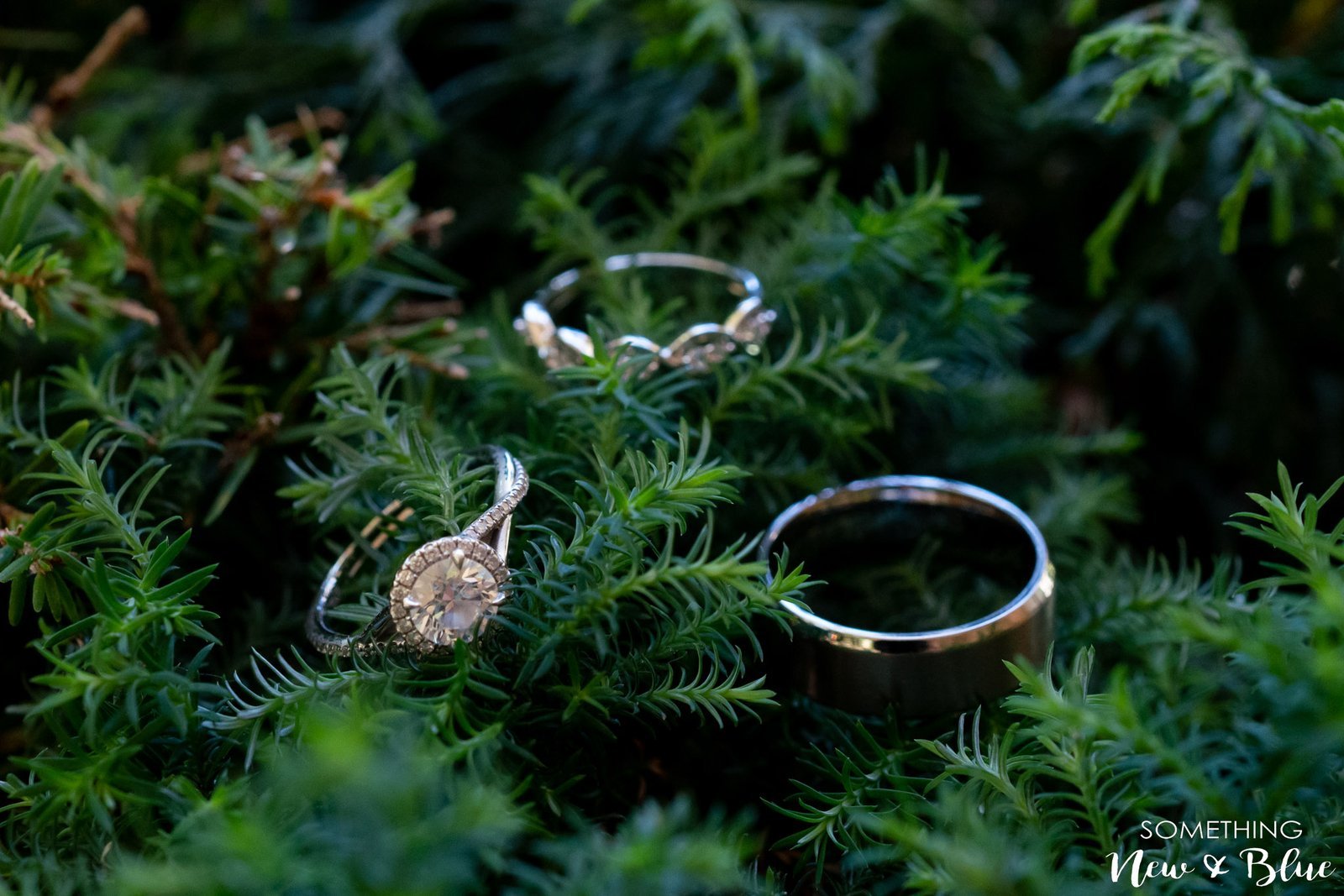 Marlena + James at Sherman Library and Gardens