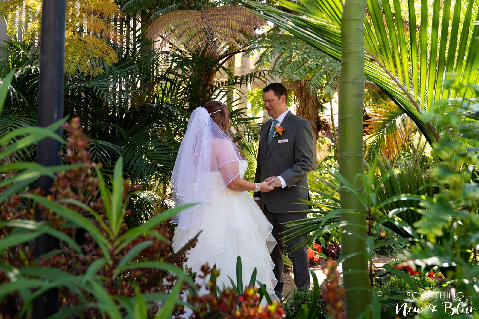 Marlena + James at Sherman Library and Gardens