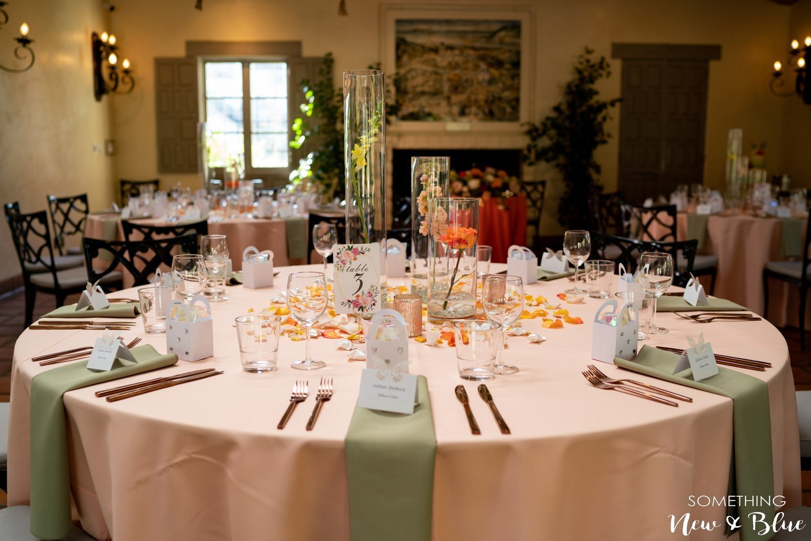 Marlena + James at Sherman Library and Gardens