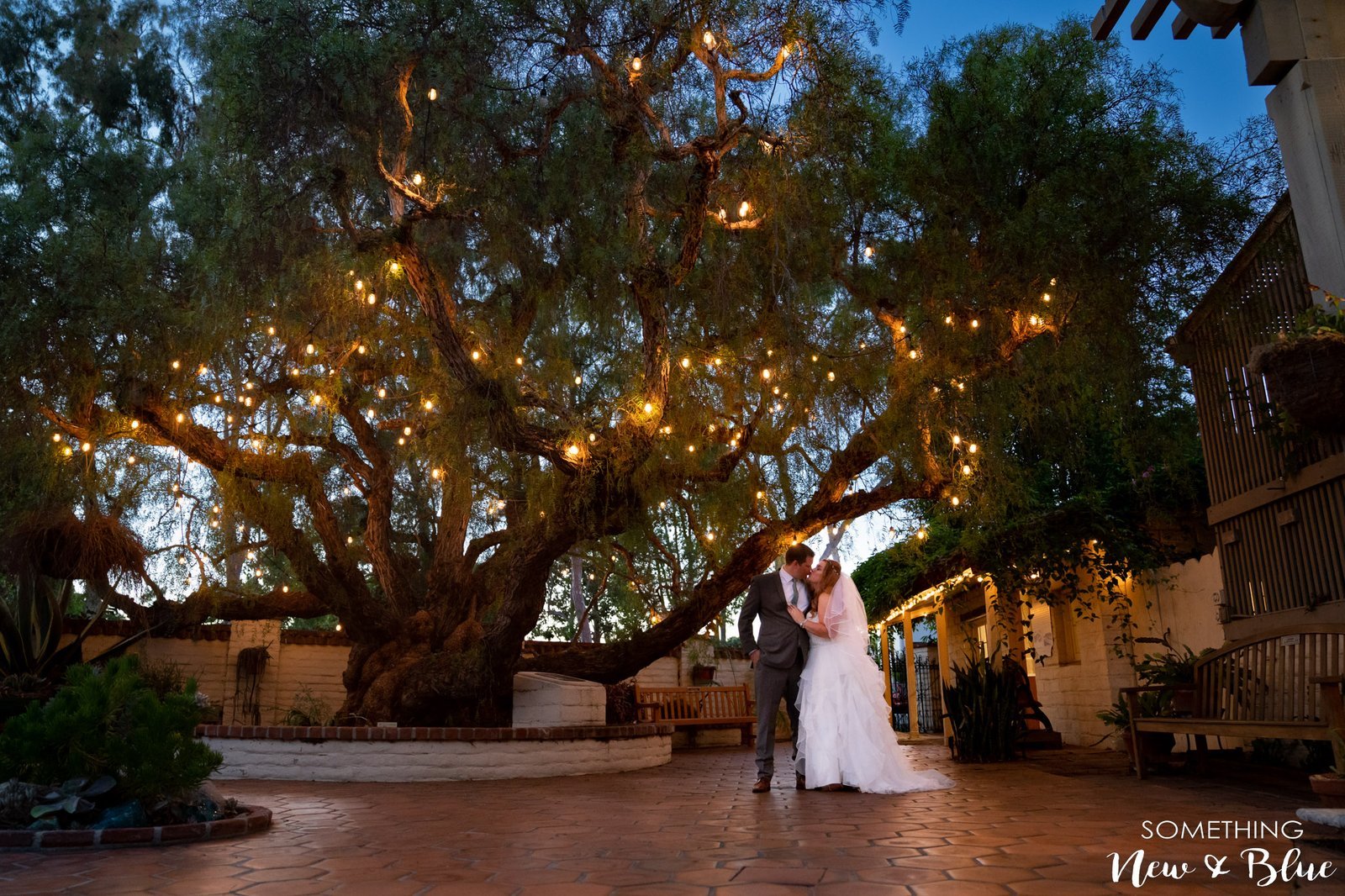Marlena + James at Sherman Library and Gardens