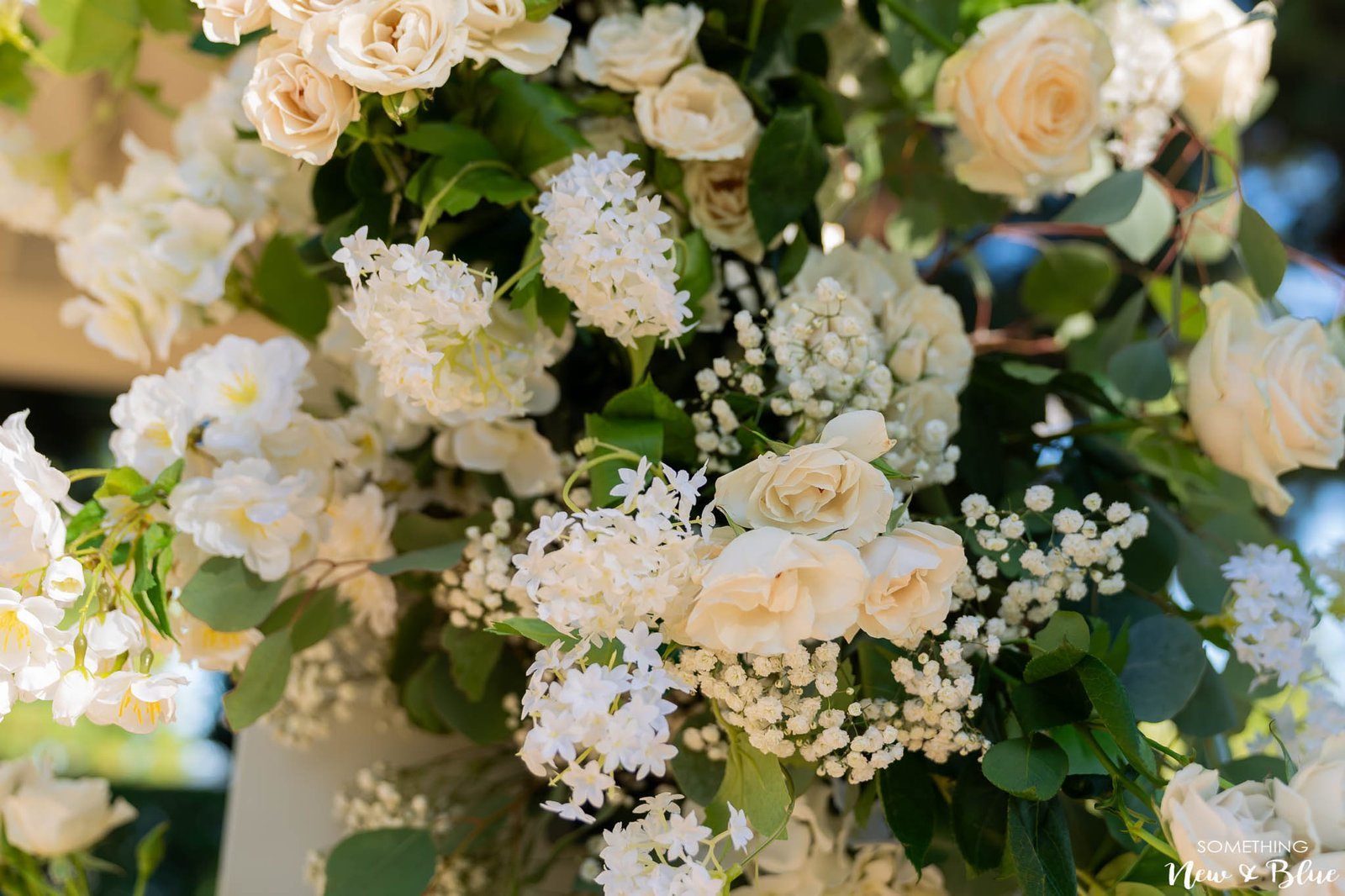 Nicole + Duong at The Turnip Rose