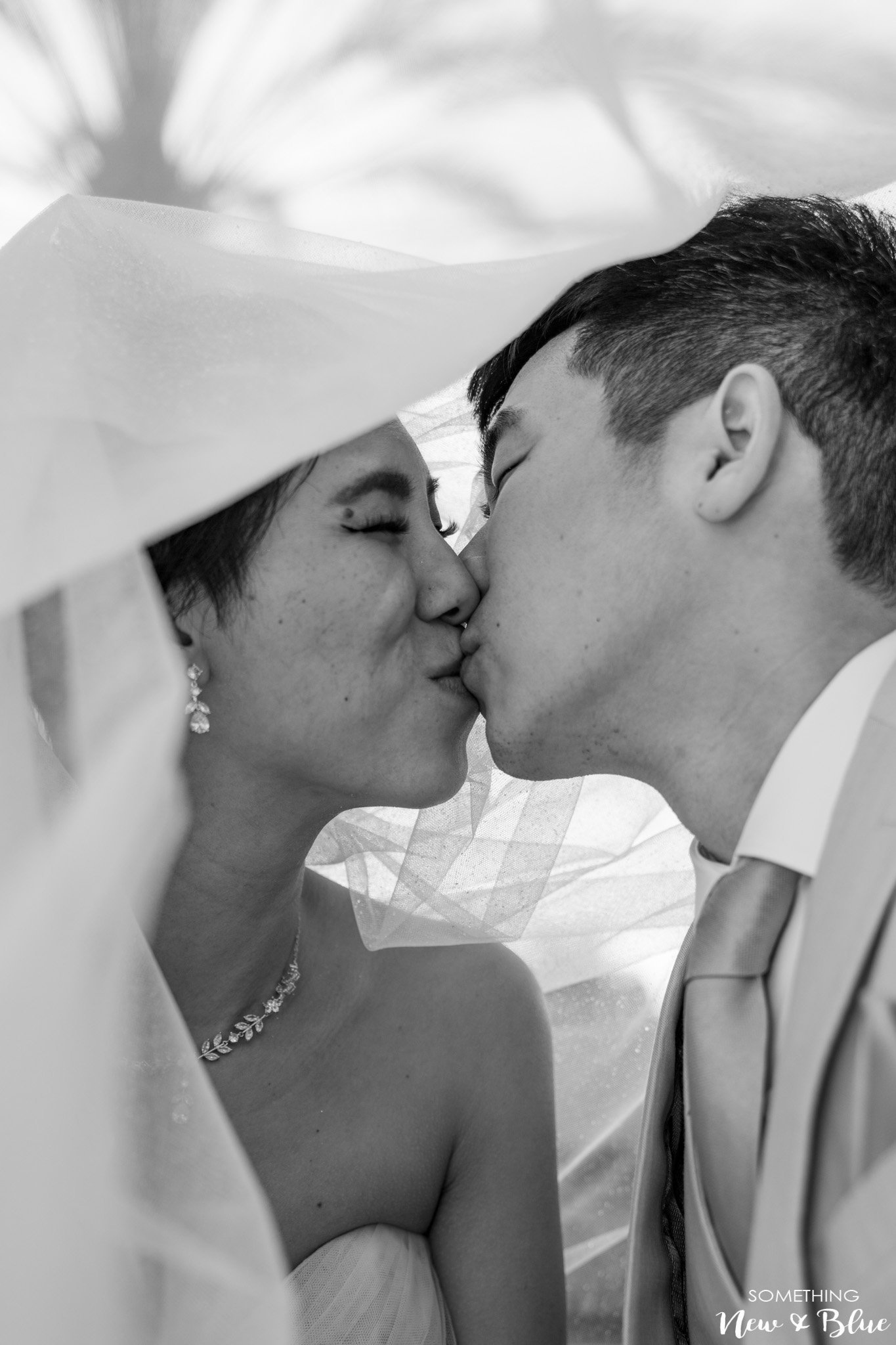 Tara + David at Wedgewood Aliso Viejo