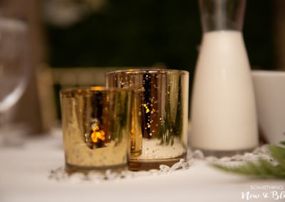 Great Wolf Lodge Wedding | Kelli + Eric