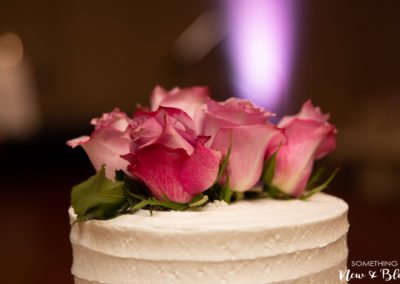 Great Wolf Lodge Wedding | Kelli + Eric