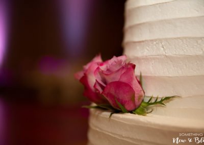 Great Wolf Lodge Wedding | Kelli + Eric