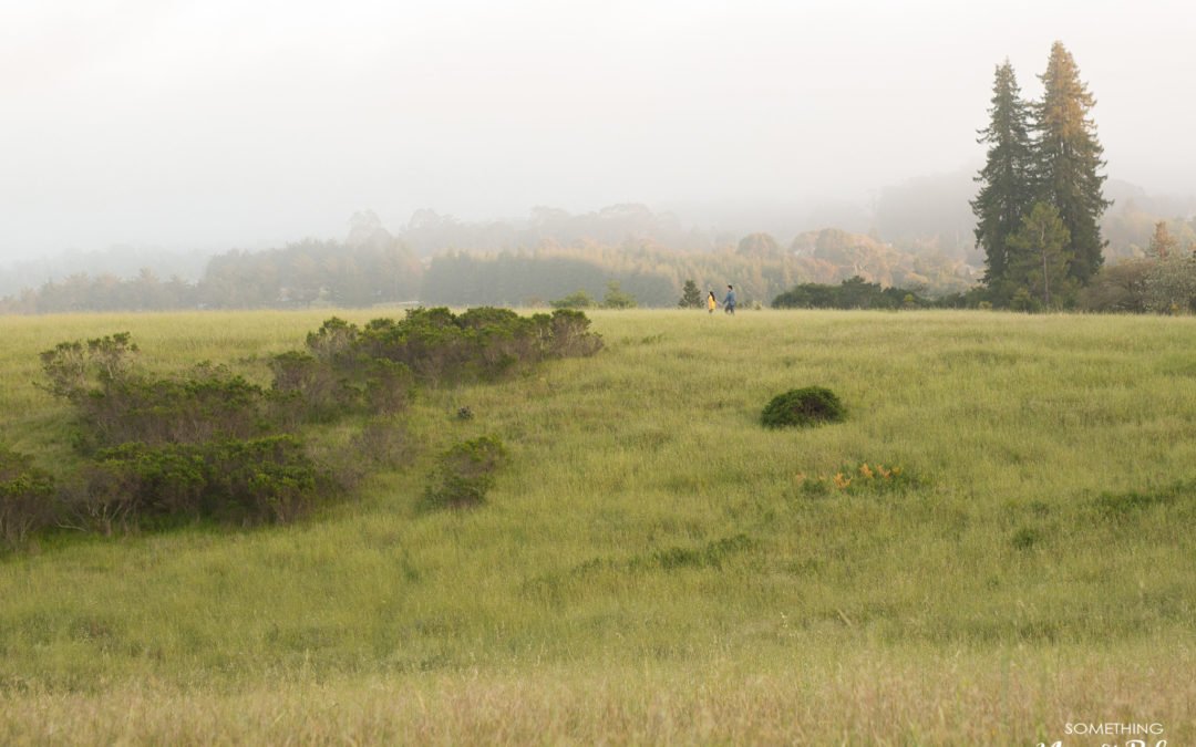 UC Santa Cruz Engagement San Francisco | Kim + Thaison