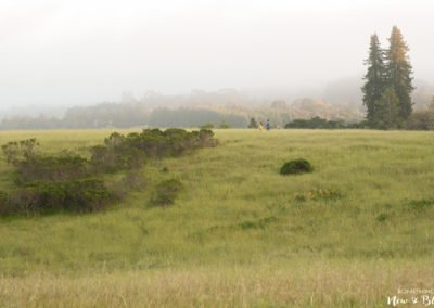 UC Santa Cruz Engagement