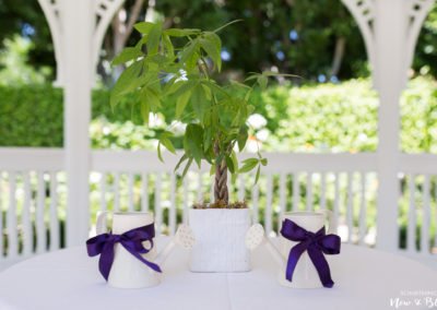 Happiest Place on Earth Wedding | Kim + Thaison