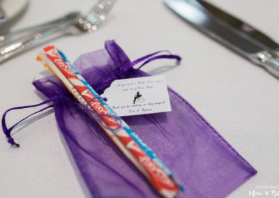 Happiest Place on Earth Wedding | Kim + Thaison