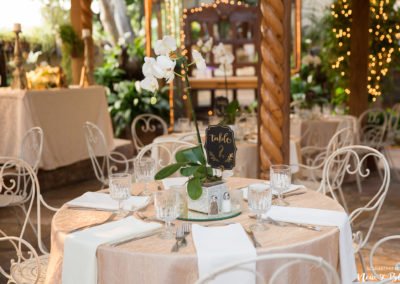 The Hacienda Santa Ana Wedding | Lorena + Alfonzo