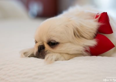 Eagle Glen Golf Club Wedding | Stephanie + Adell