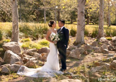 Wedgewood Aliso Viejo Wedding | Shirley + David